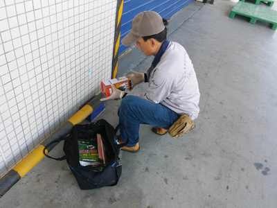 食品廠老鼠防治方案，早用早省心 清潔服務(wù)助您無(wú)憂經(jīng)營(yíng)